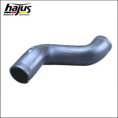 Charge Air Hose (1451091)