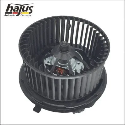 Interior Blower (8191023)
