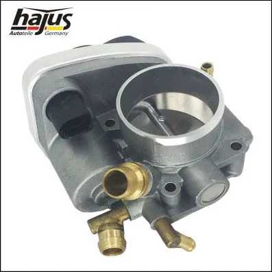 Throttle Body (1311057)