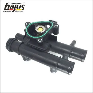 Thermostat, coolant (1211197)