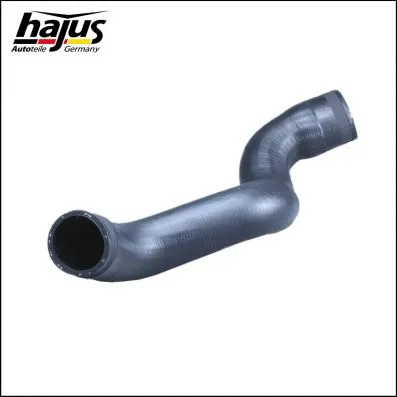 Charge Air Hose (1451071)