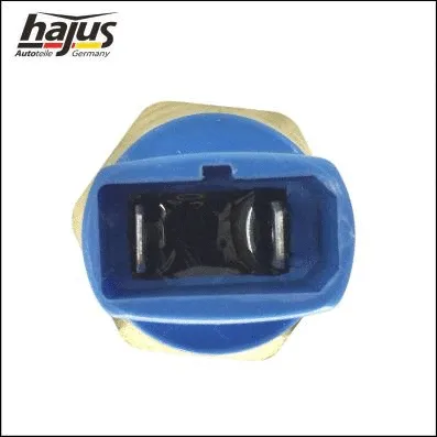 Temperature Switch, radiator fan