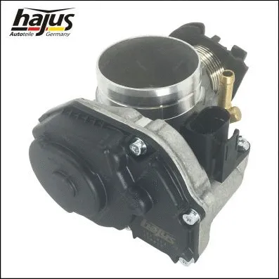 Throttle Body (1311064)