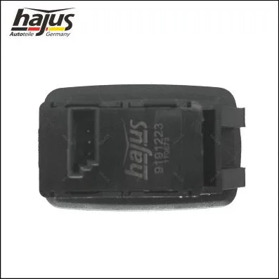 Switch, window regulator