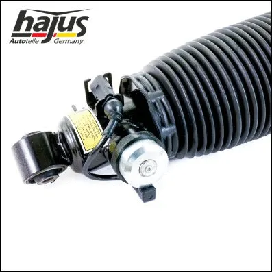 Air Suspension Strut