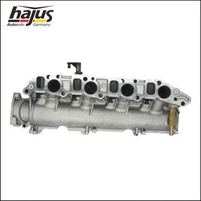 Intake Manifold Module (2511042)