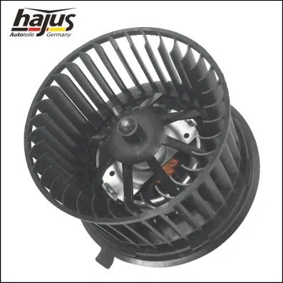 Interior Blower (8191070)