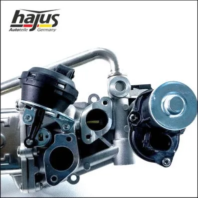 EGR Module