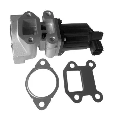 EGR Valve (1311110)