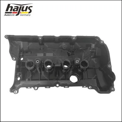 Cylinder Head Cover (1031032)