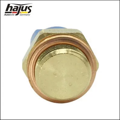 Temperature Switch, radiator fan
