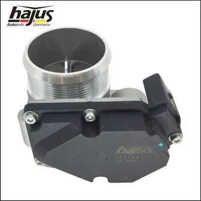 Throttle Body (1311041)