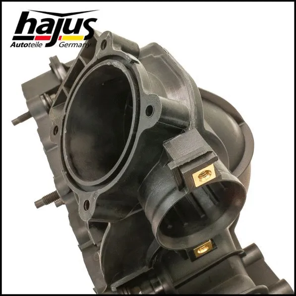 Intake Manifold Module