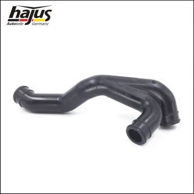 Hose, cylinder head cover ventilation