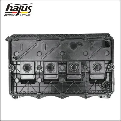 Cylinder Head Cover (1031025)