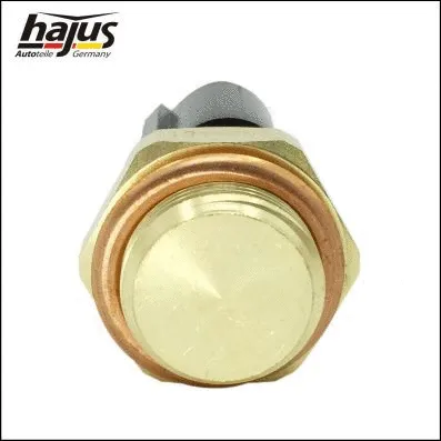 Temperature Switch, radiator fan