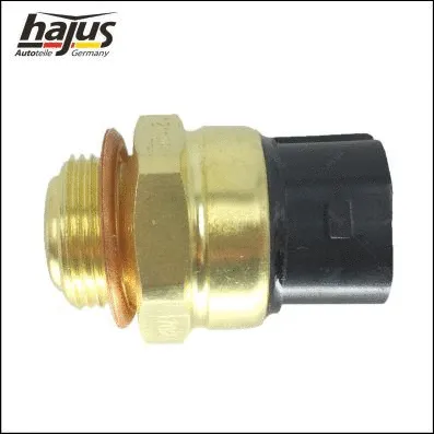 Temperature Switch, radiator fan (1211201)