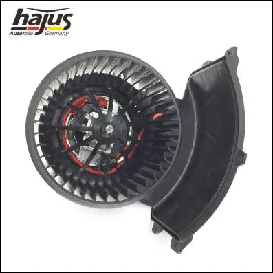 Interior Blower