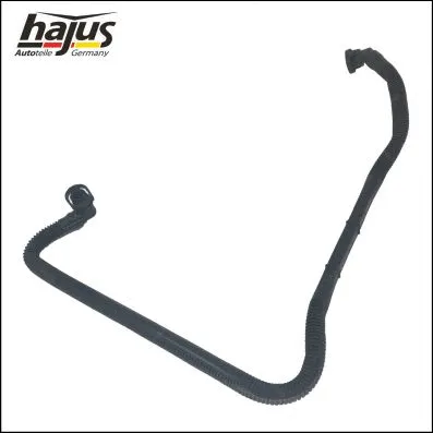 Hose, crankcase ventilation