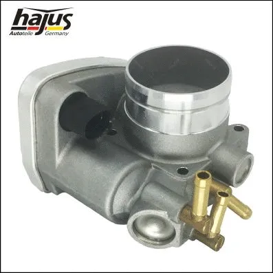 Throttle Body (1311054)