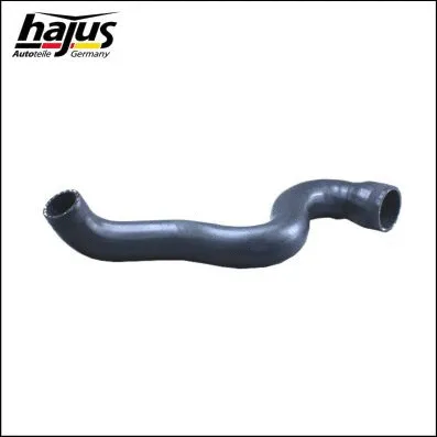 Charge Air Hose (1451075)