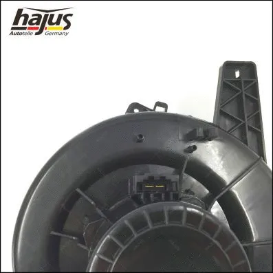 Interior Blower