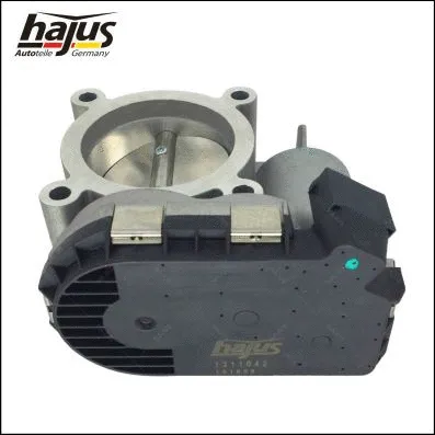 Throttle Body (1311042)