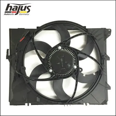 Fan, engine cooling