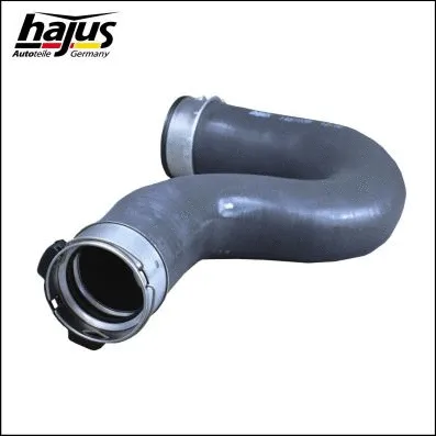 Charge Air Hose (1451039)