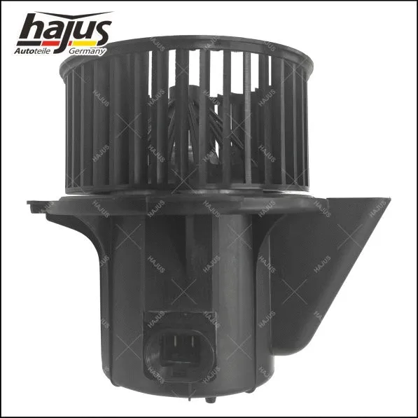 Interior Blower