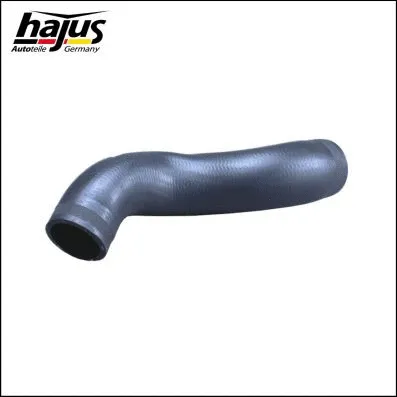 Charge Air Hose (1451082)