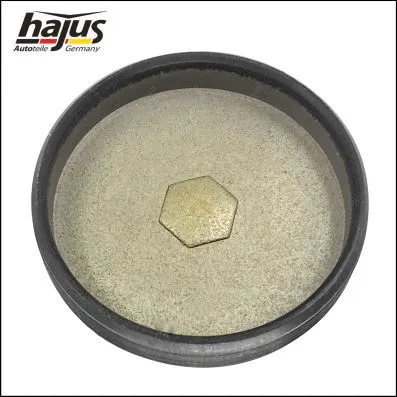 Plug, rocker arm shaft mounting bore (1151391)