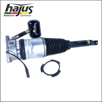 Air Suspension Strut (4121086)