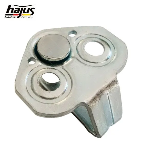 Locking Pin, door lock