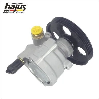 Hydraulic Pump, steering (4221048)