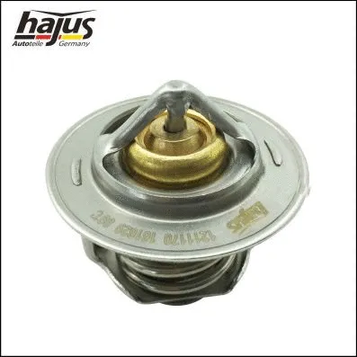 Thermostat, coolant (1211170)