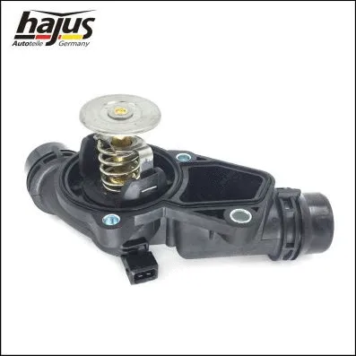 Thermostat, coolant (1211217)