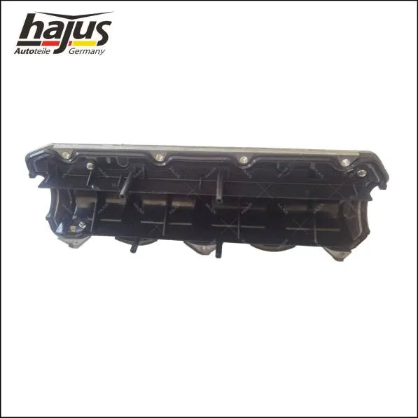 Cylinder Head Cover (1031046)