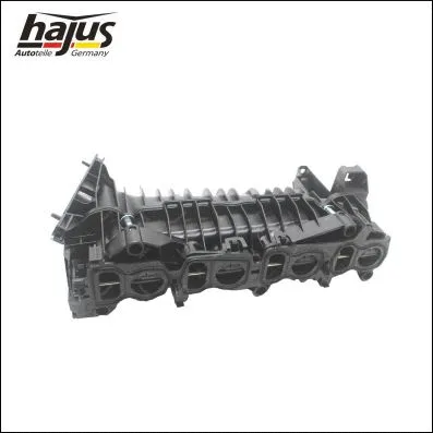 Intake Manifold Module (2511066)
