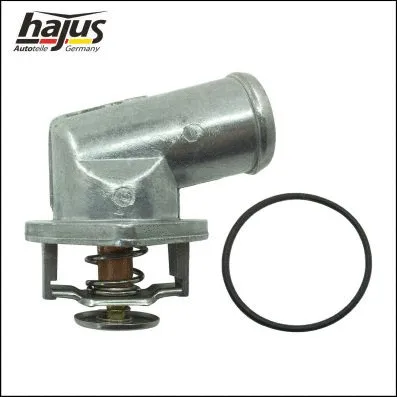 Thermostat, coolant (1211163)