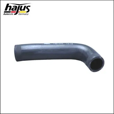 Charge Air Hose (1451070)