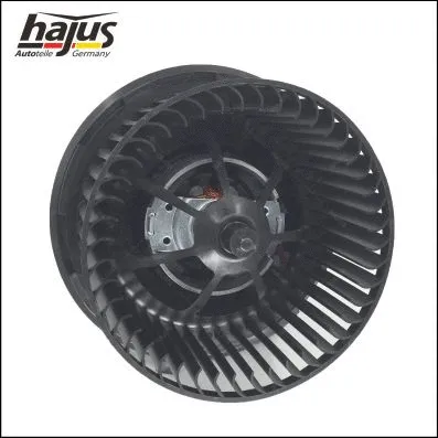 Interior Blower