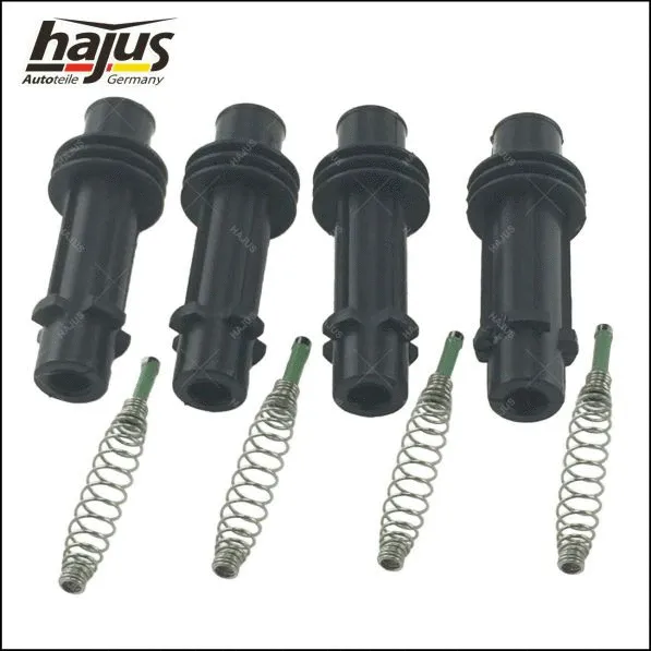 Plug, spark plug