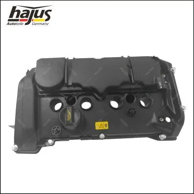Cylinder Head Cover (1031033)