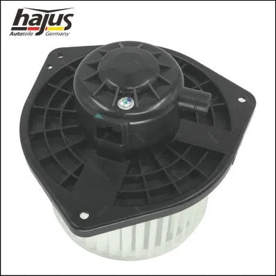 Interior Blower