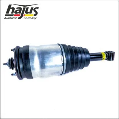 Air Suspension Strut (4121108)