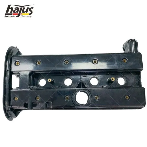 Cylinder Head Cover (1031049)