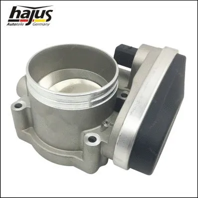Throttle Body (1311096)