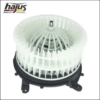 Interior Blower