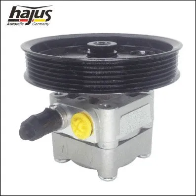 Hydraulic Pump, steering (4221046)